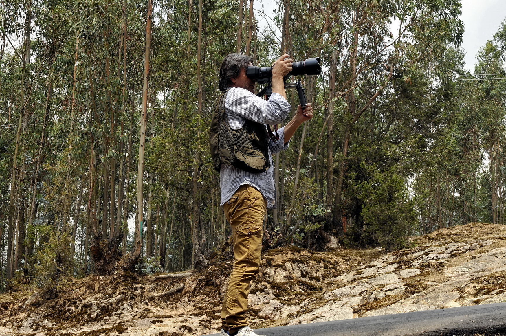 Andes — Looking for the next frame